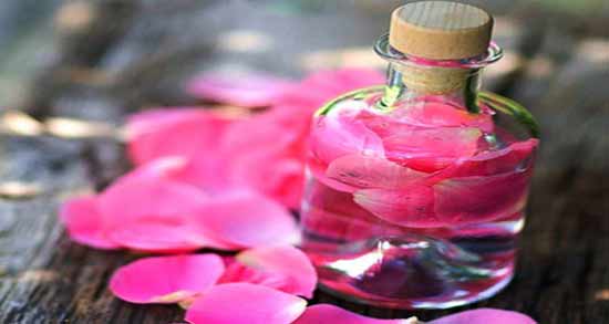 ایا مصرف گلاب در دوران بارداری مضر است؟