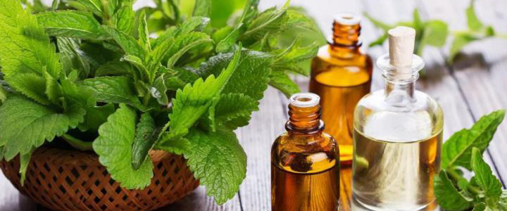 دوره ی اسانس گیری