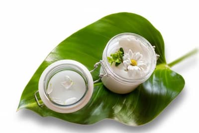 محصولات گیاهی