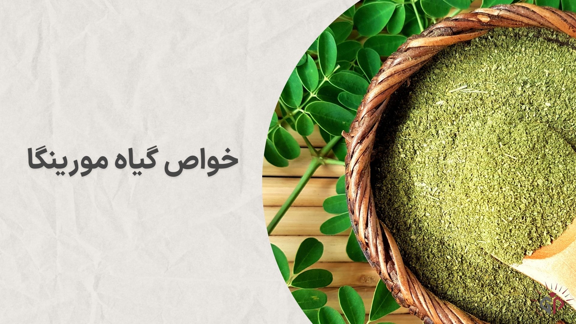خواص گیاه مورینگا