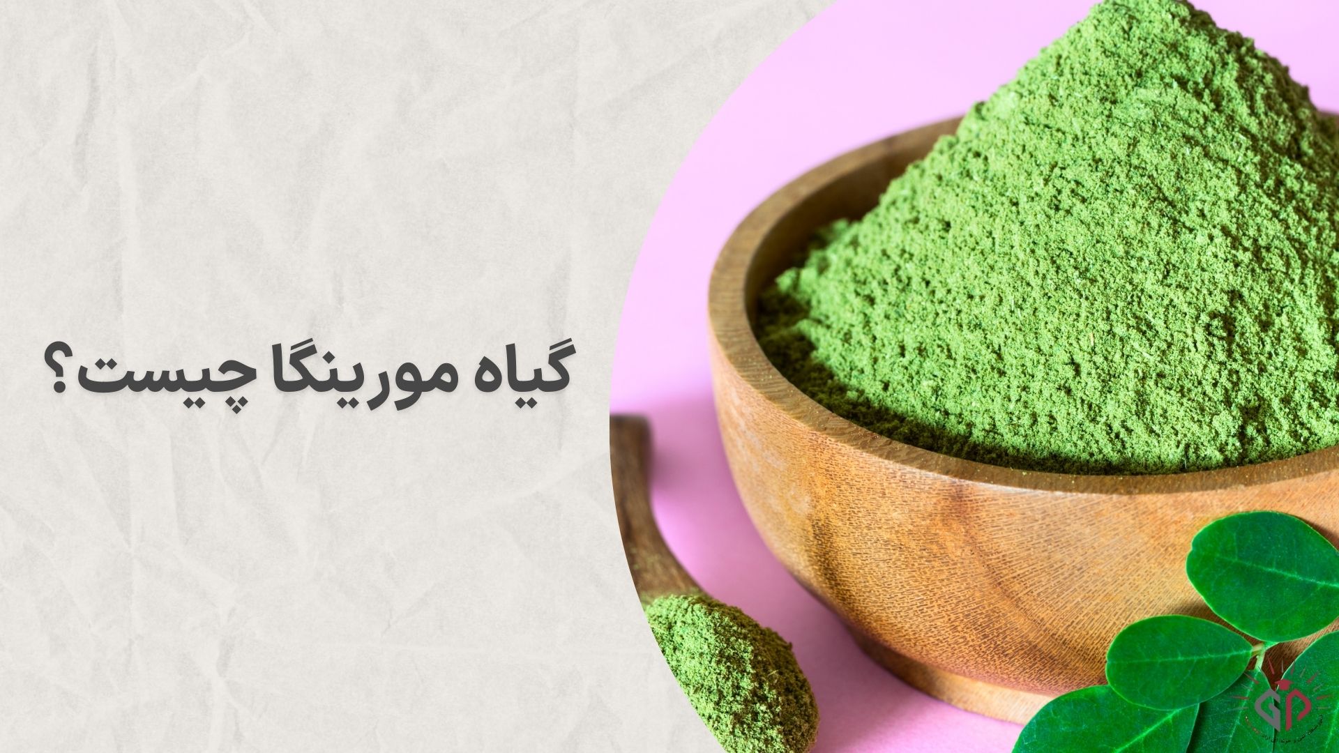 گیاه مورینگا چیست؟